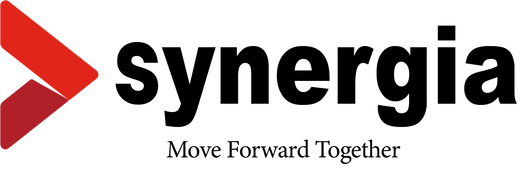 SYNERGIA | PAKISTAN MOVE FORWARD TOGETHER